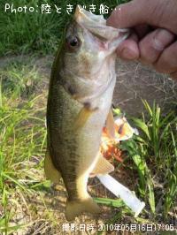 �֥�å��Х�