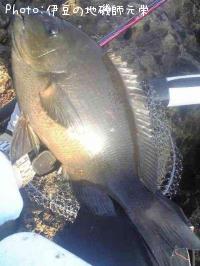 ¸ýÂÀ¥á¥¸¥Ê