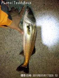 �����Х�