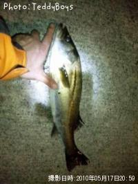 �����Х�