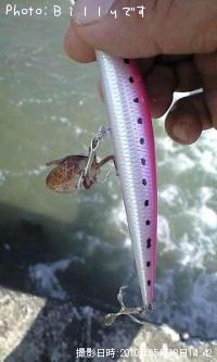 ¥¢¥ª¥ê¥¤¥«