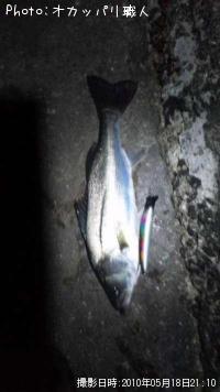 �����Х�