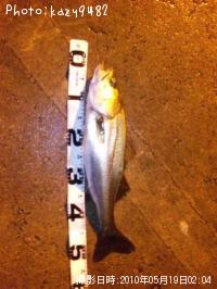 �����Х�