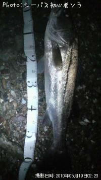 �����Х�