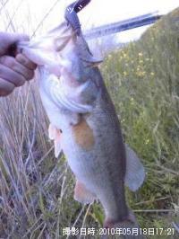 ¥Ö¥é¥Ã¥¯¥Ð¥¹