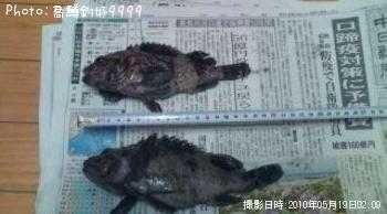 �����Υ�