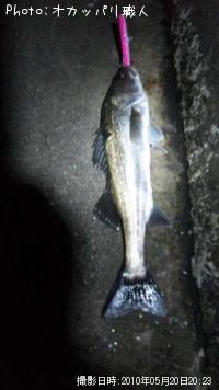 �����Х�