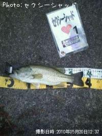 �֥�å��Х�