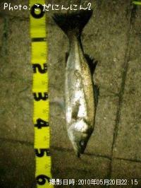 �����Х�