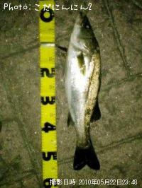 �����Х�