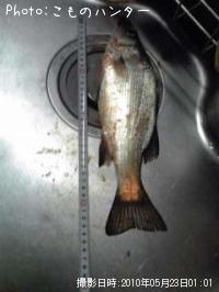 �����Х�