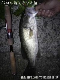 �֥�å��Х�