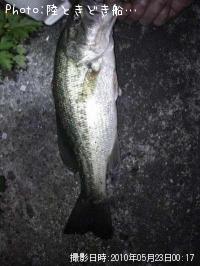 �֥�å��Х�