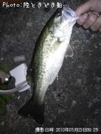 �֥�å��Х�