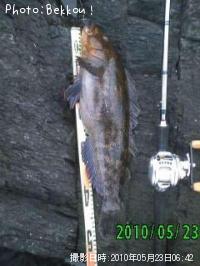 �����ʥ�