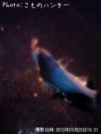 �����Х�