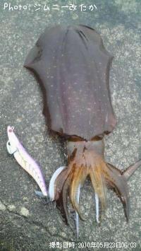 �����ꥤ��