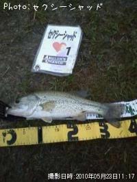 �֥�å��Х�