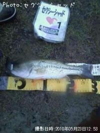 ¥Ö¥é¥Ã¥¯¥Ð¥¹