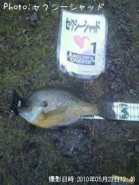 �֥롼����