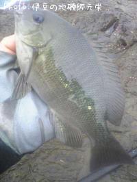 �����᥸��