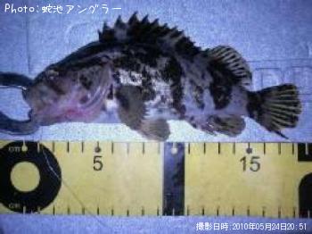 �����Υ���Х�