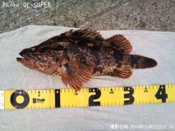 ¥¿¥±¥Î¥³¥á¥Ð¥ë