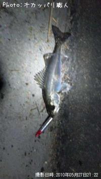 �����Х�