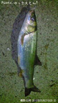 �ޥ륿������