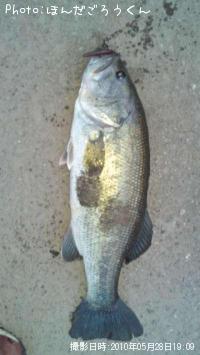 ¥Ö¥é¥Ã¥¯¥Ð¥¹