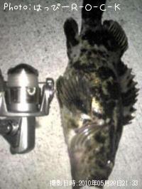 �٥å�������