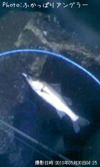 �����Х�