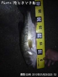 �֥�å��Х�