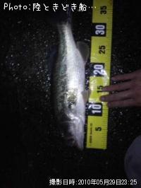 �֥�å��Х�