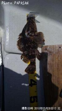 �����Υ���Х�