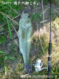 ¥Ö¥é¥Ã¥¯¥Ð¥¹