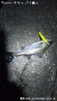 �����Х�