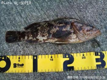 ¥¿¥±¥Î¥³¥á¥Ð¥ë