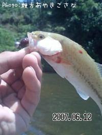 ¥Ö¥é¥Ã¥¯¥Ð¥¹