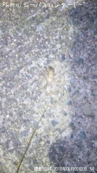 ¥¨¥¤¥ê¤ä¤ó