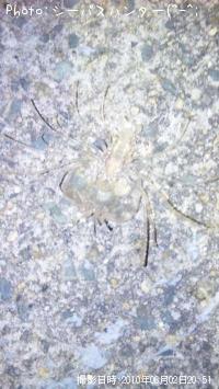 ¥¨¥¤¥ê¤ä¤ó