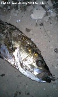 �����Х�