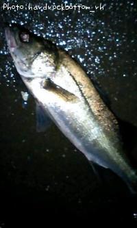 �����Х�