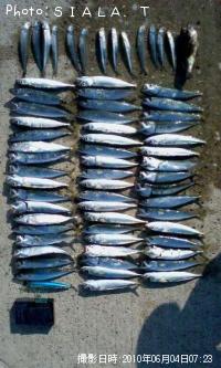 ���С������