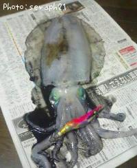 ¥¢¥ª¥ê¥¤¥«