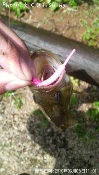 �֥�å��Х�