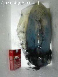 �����ꥤ��