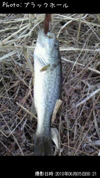 �֥�å��Х�