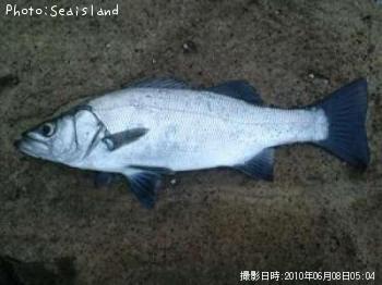 �ҥ饹����