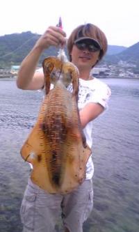 ¥¢¥ª¥ê¥¤¥«